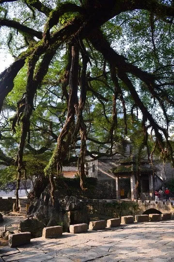 博皓游記 | 夏風(fēng)微醺的綺夢，領(lǐng)略賀州黃姚古鎮(zhèn)、姑婆山閑憩之美-12