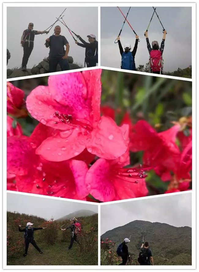 3月29日，云浮新興縣登天麓山&賞杜鵑花