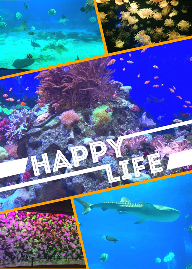 廣東博皓親子游：珠海長(zhǎng)隆海洋王國(guó)，探索海洋生物的奧秘，奇妙的動(dòng)物世界
