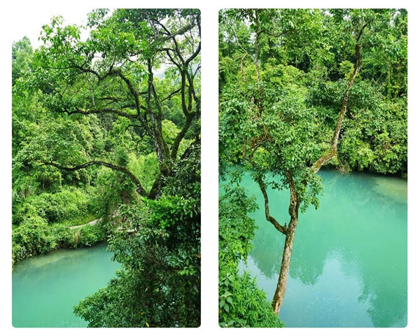 多彩貴州，魅力天下，2021年廣東博皓快樂貴州行-29