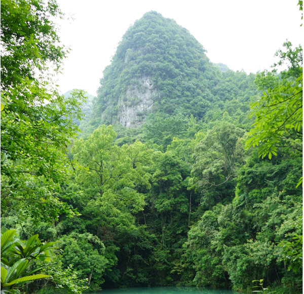 賞華夏大地，游多彩貴州-－2021年廣東博皓快樂行-2