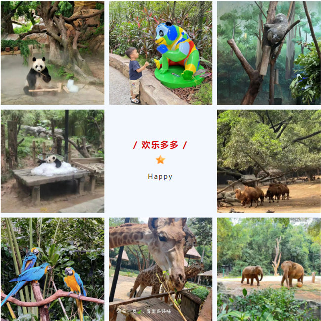 大手牽小手，快樂(lè)親子游！廣東博皓2023年親子游活動(dòng)        -8
