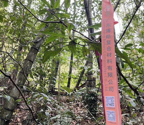凝心聚力再出發(fā)，風(fēng)雨同舟赴星溪！--廣東博皓2024龍年首登星溪之旅     -2