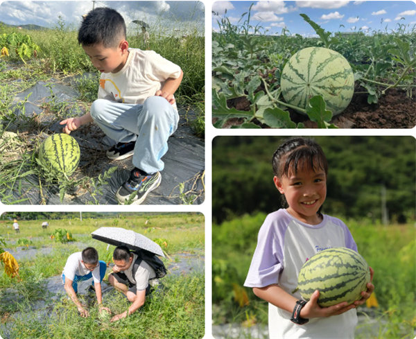趣游盛夏，一路童行—2024年廣東博皓親子游   -12
