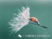【博皓感悟】成功，要“借力”，不要“盡力”