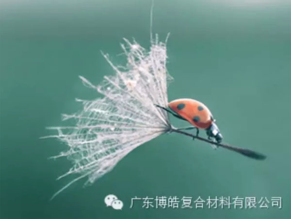 【博皓感悟】成功，要“借力”，不要“盡力”